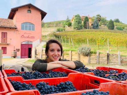 PODERI MORETTI winery open for guided tours and tasting of fine wines from Alba Langhe and Roero